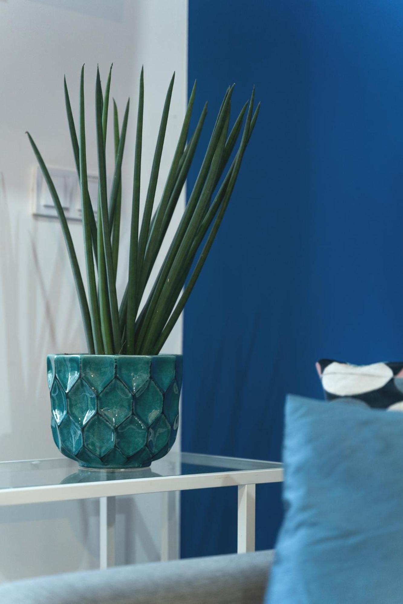 Apartament Niebieski C4 Pobierowo Exteriér fotografie